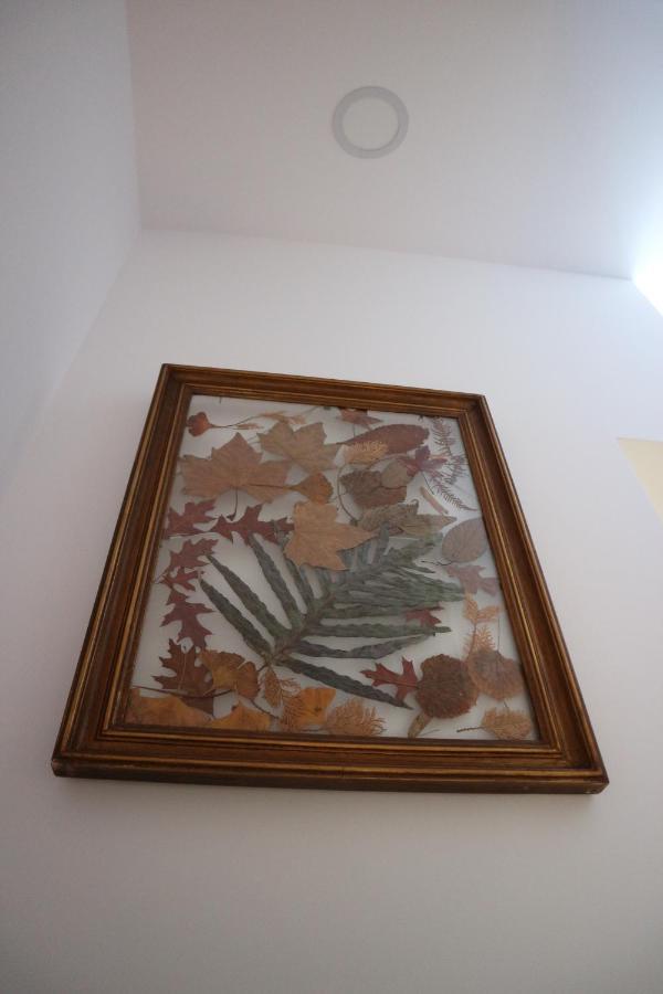 Casa Das Antas Porto Zewnętrze zdjęcie